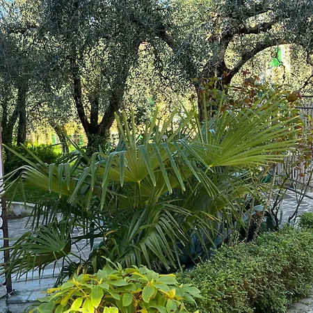 Casa Noario Apartment Malcesine