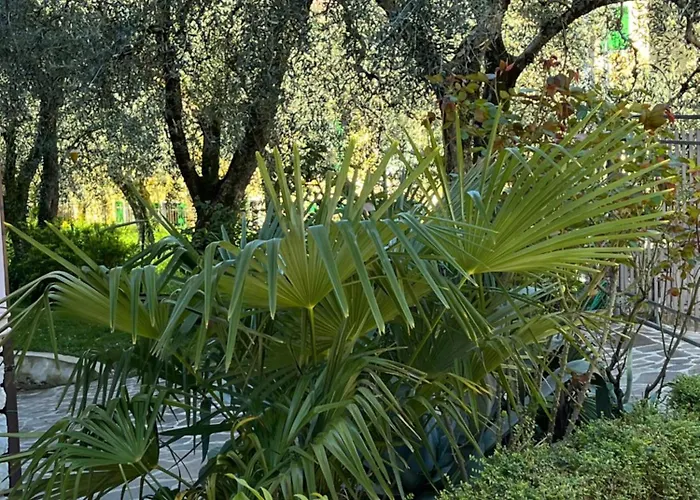 Casa Noario Lägenhet Malcesine